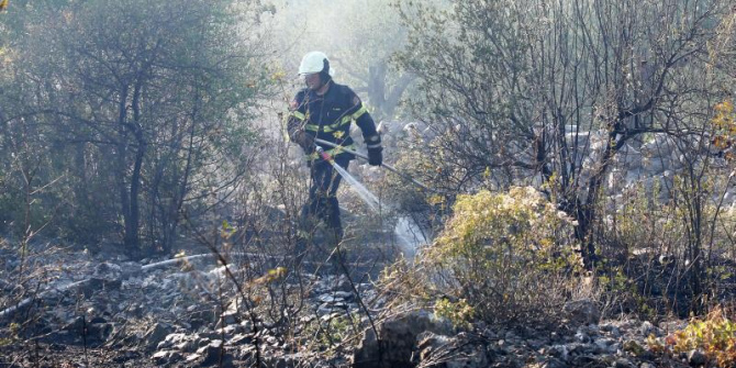 Srbija, topola, ljubomora