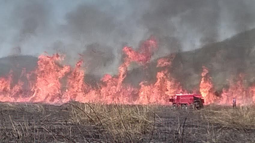 Hutovo blato, požar