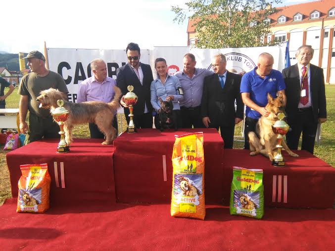 psi, Izložba, izložba pasa, žepče