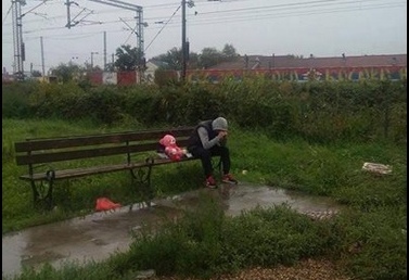 plač, medo, klupa, muškarac