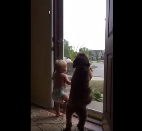 beba, Pas, sreća, tata