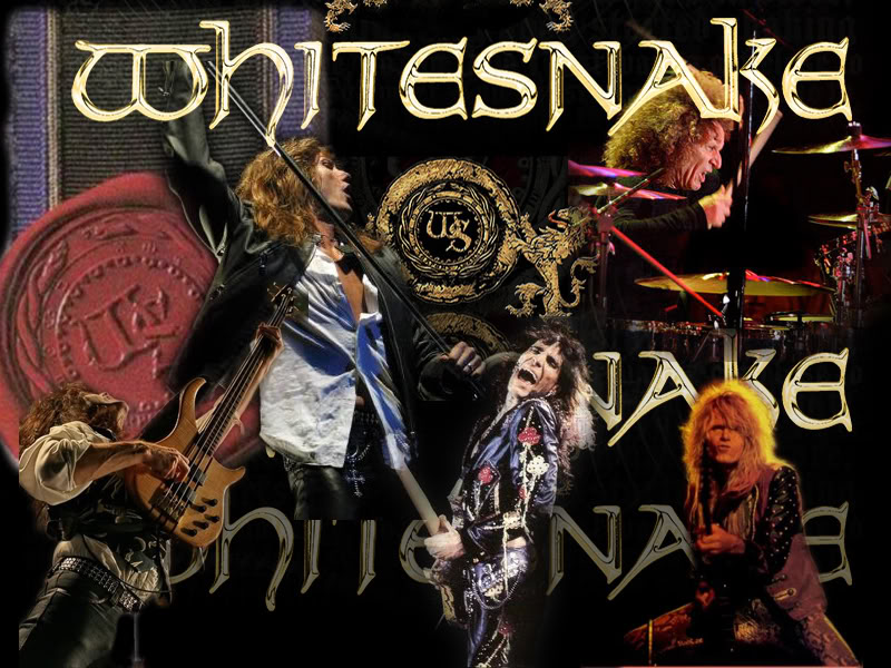 Whitesnake, koncerti, rock grupa