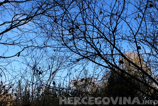 Hutovo, Hutovo blato, jesen, vrijeme, toplo vrijeme, Hutovo blato, vremenska prognoza, vrijeme, prognoza vremena, BIH, danas