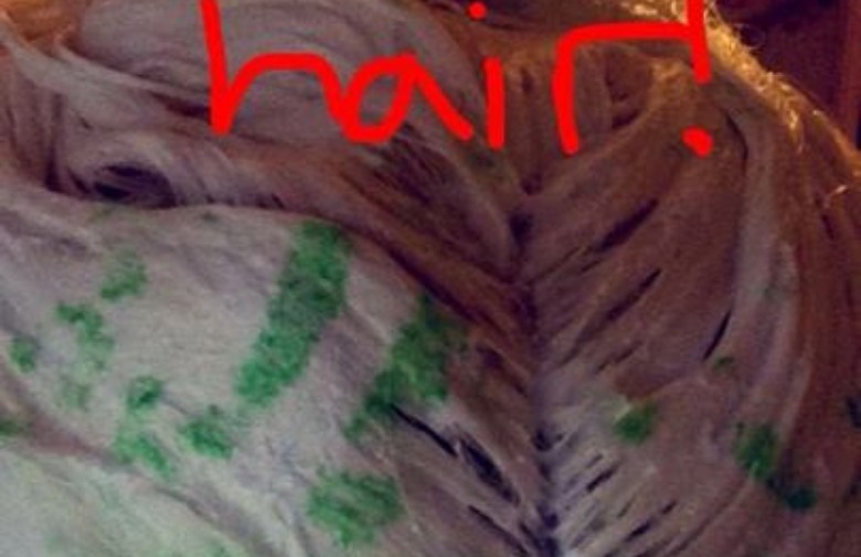 kosa, hit, bojenje, bojenje kose