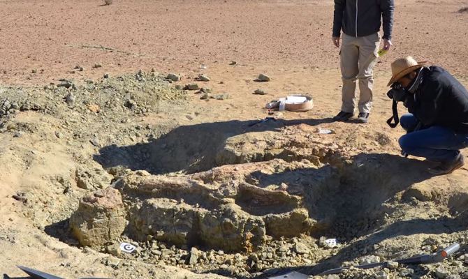 otkriće, šokantno otkriće, čudovište