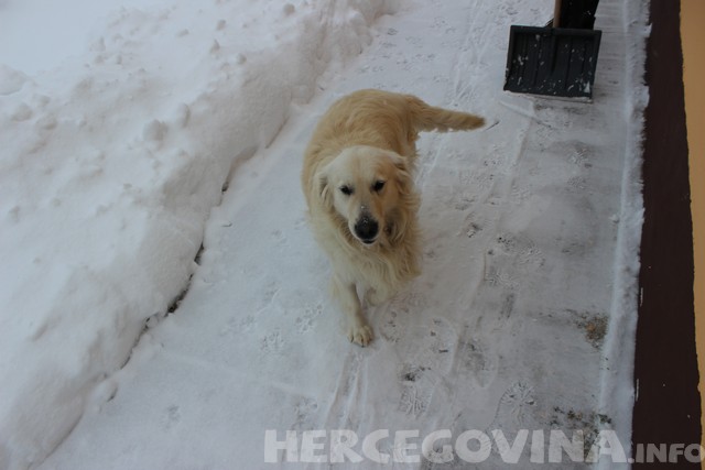snijeg, igra na snijegu, Slavonija