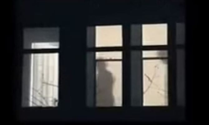 sestra, horatio caine, incest