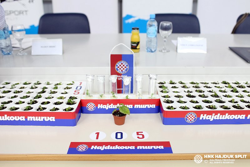 Hajdukova murva, 105 rođendan Hajduka, nk hajduk split
