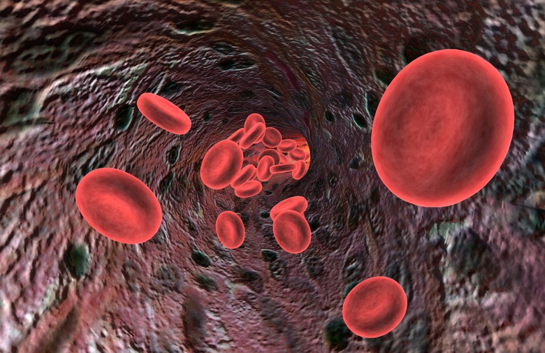 T-limfociti,  stanice raka , otkriće