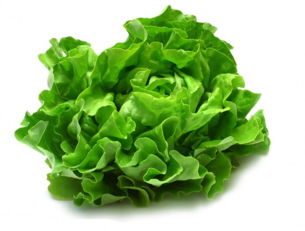 zelena salata, jesti kelj, istraživanje