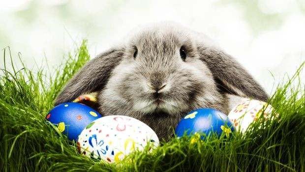 Uskrs, zeko, simboli