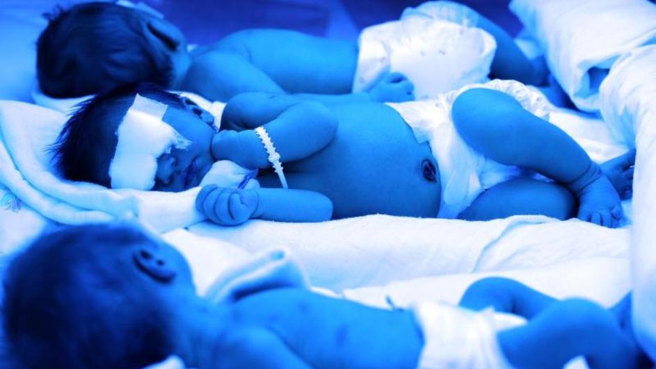 Velika Britanija, djeca rast, organi