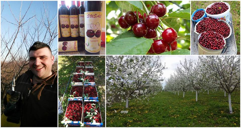 posao, Općina Široki Brijeg, Široki Brijeg, zemljoradnik