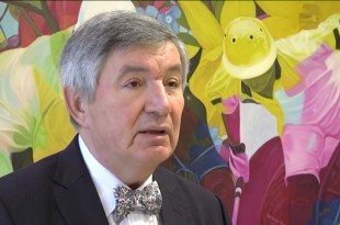 ante glibota, kultura, Hrvatska