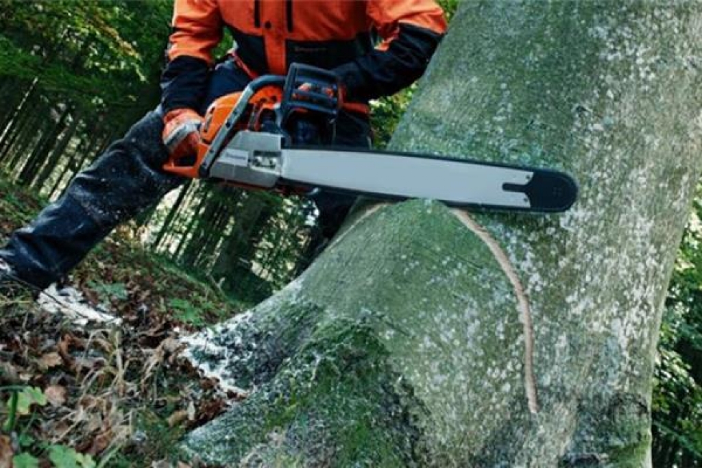 Uprava za šumarstvo HNŽ