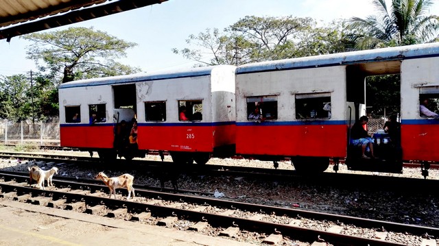 Slobodan Tomić, putopis