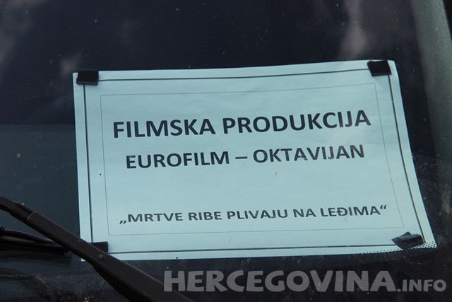 Mrtve ribe plivaju na leđima, film