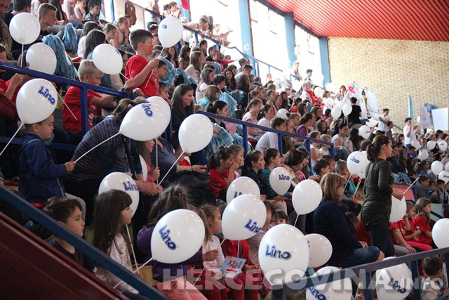 Lino višebojac Mostar