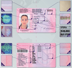 vozačka dozvola, vozačke dozvole, BIH