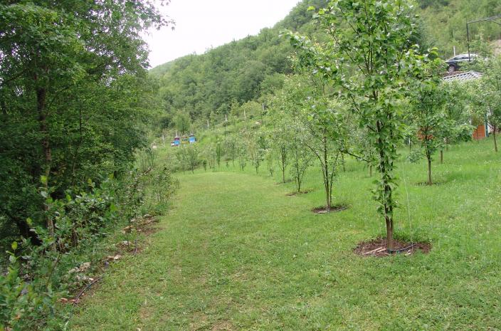 priče iz hercegovine, hodopisi, Dragan Marijanović