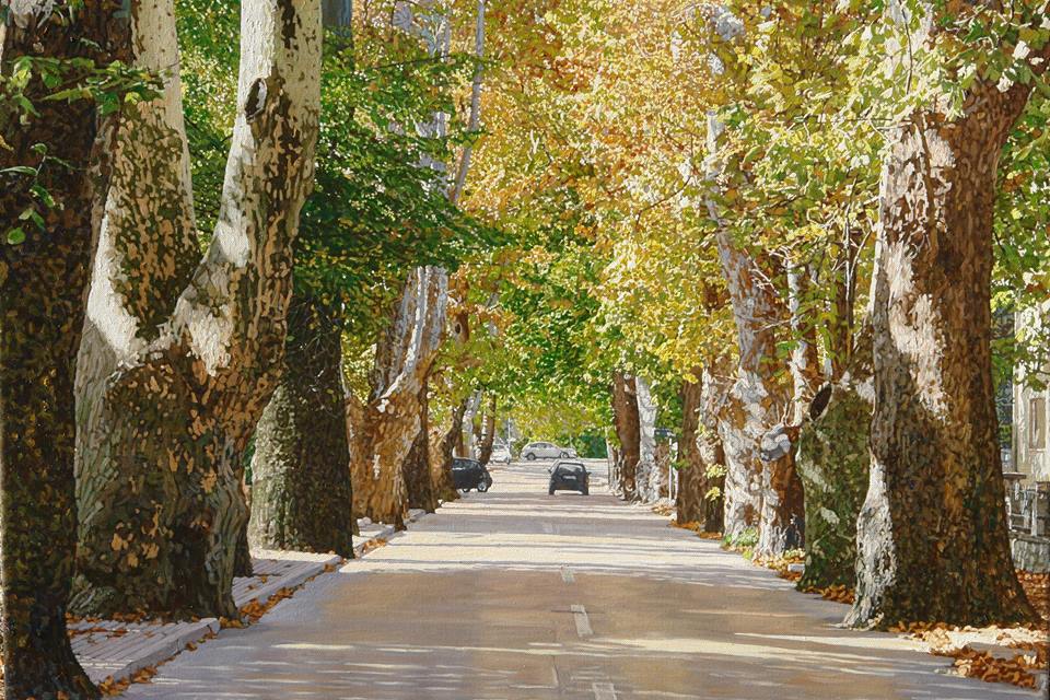 Marin Topić, platani, Mostar, platani