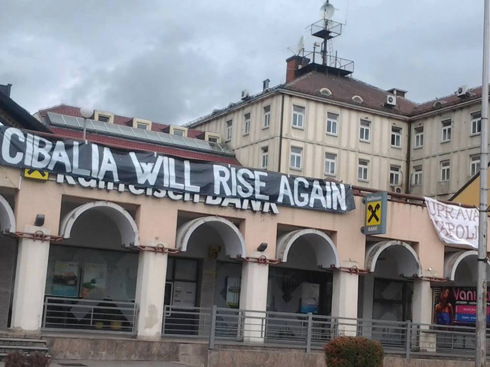 HNK Cibalia, nk šibenik, Cibalia, HNK Cibalia