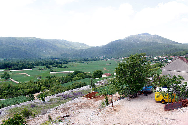 Vojnići, Ljubuški, krompir