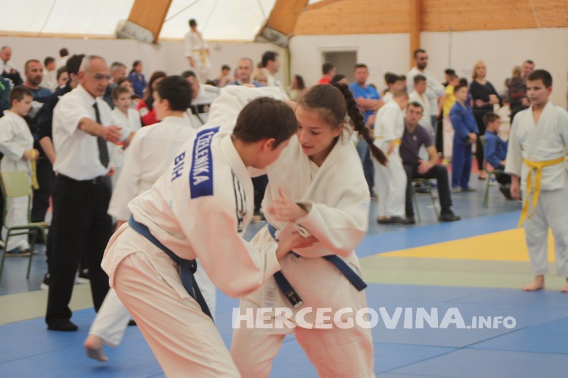 jubo borsa u berkovicima 2016