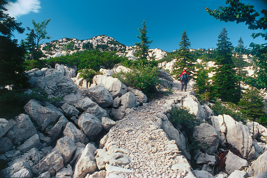 HPD Prenj, branko bandić, planinari, Trebinje