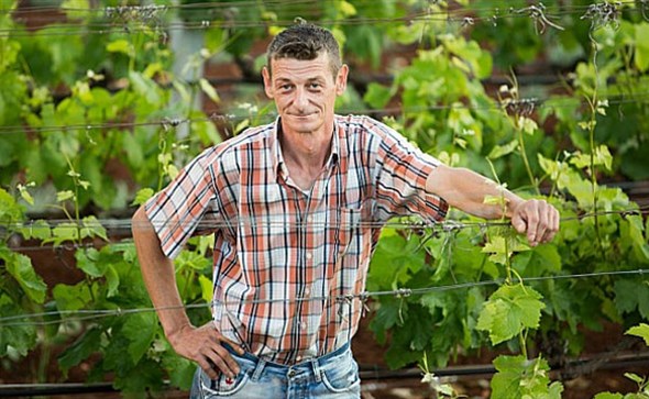 ljubav je na selu, Dražen Božić, Grude, ljubav je na selu, ljubav je na selu, Grude