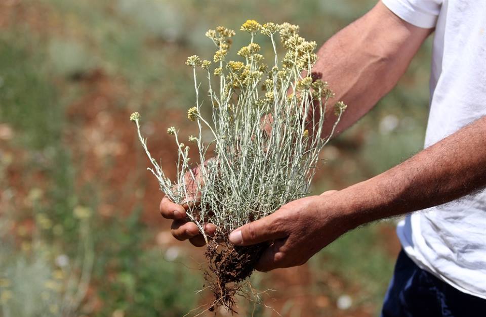 Mobilizacija: Kreću noćne straže u Hercegovini