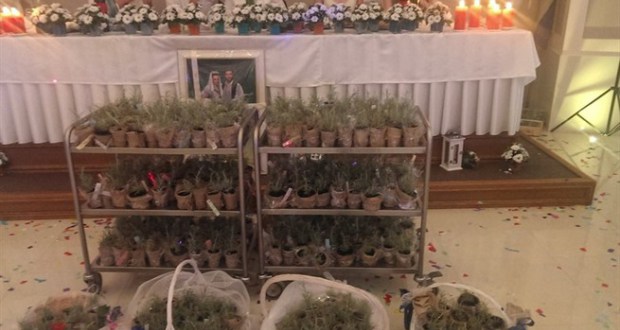 smilje, mladenci, darivanje