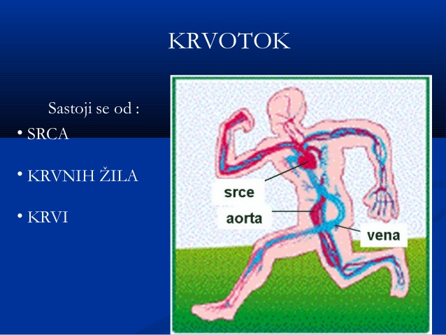 bolesti krvi, krvožilni sustav, krv, tlak, visok tlak 