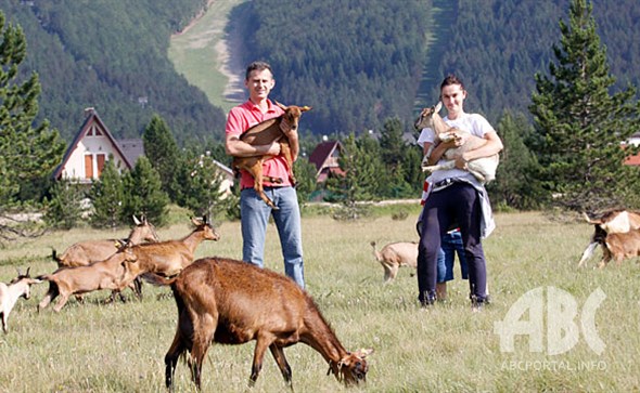 ljubav, farma, koze, Blidinje
