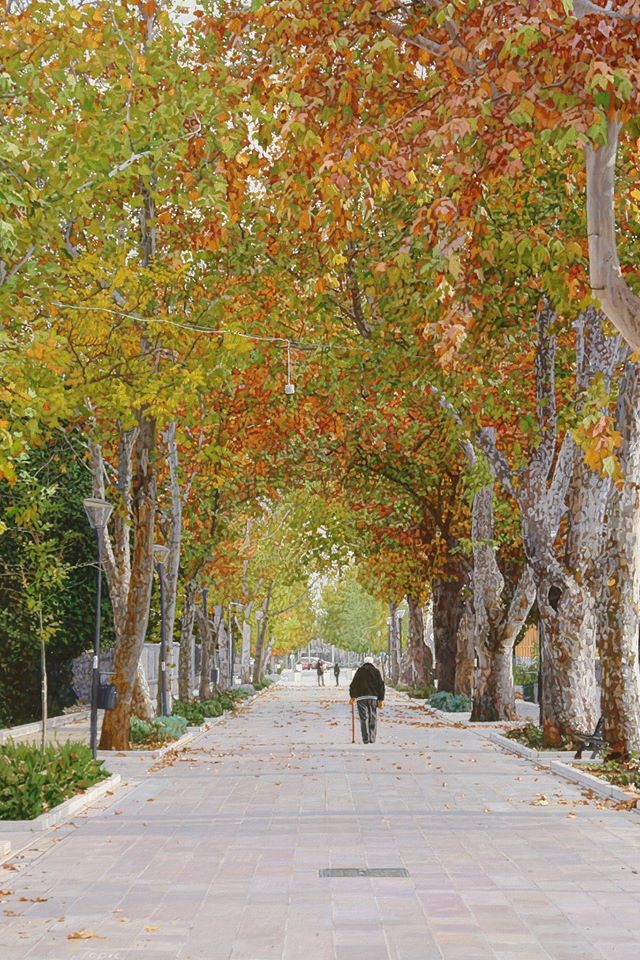 Marin Topić, platani