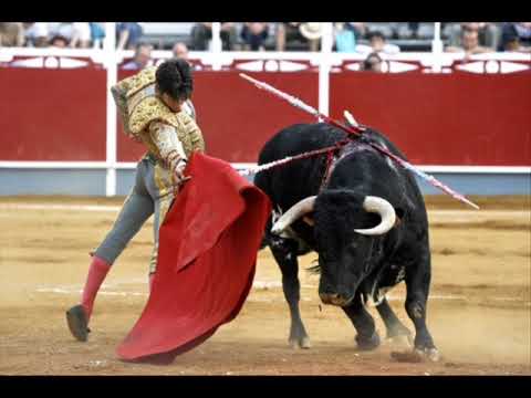 toreador, bikovi