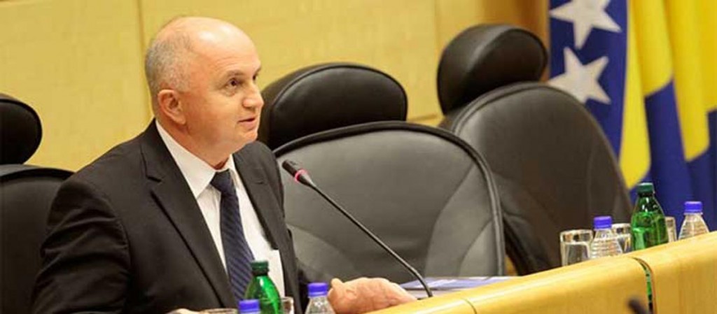 mušić u parlamentu