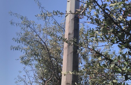 Raketa, Mostar, zolja