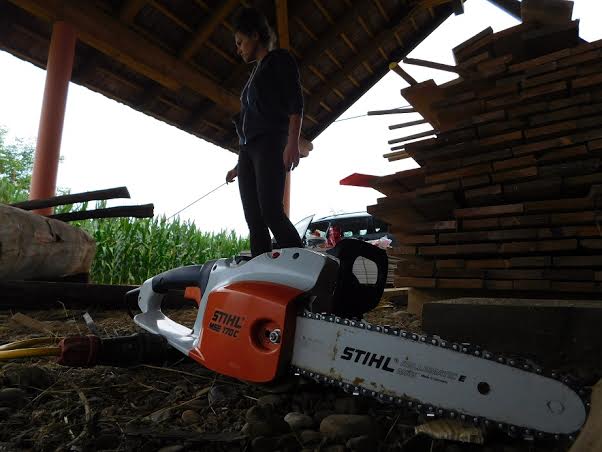 Umjetnička kolonija, kornica