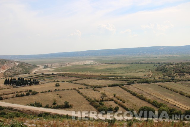 mostarsko blato, Ovojci , Modraš