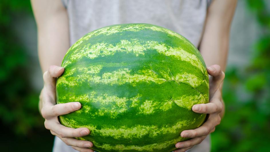 lubenica, znakovi, lubenica, kora od lubenice