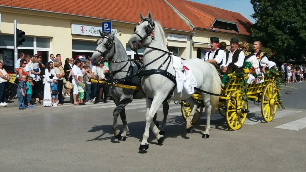 vinkovačke jeseni, Vinkovci, vinkovci slavonija