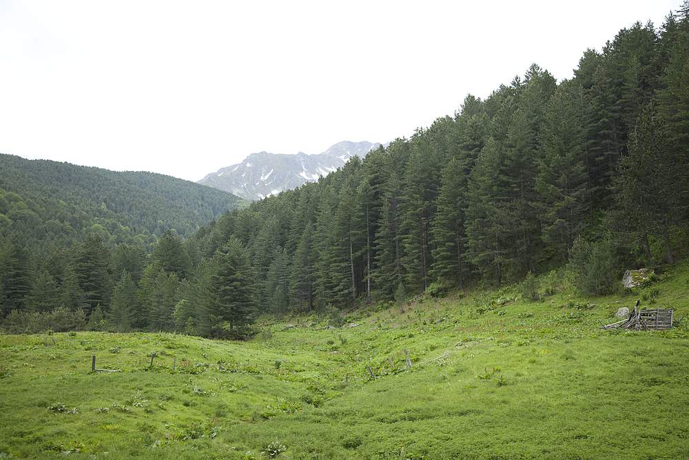 predavanje, planeta, planeti , WWF Adria