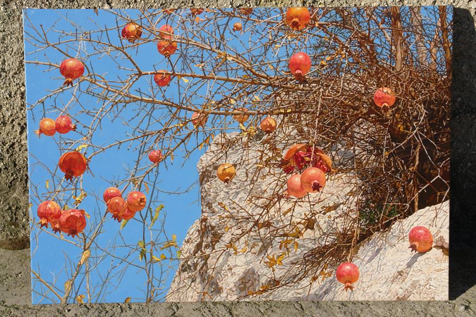 Marin Topić, šipci