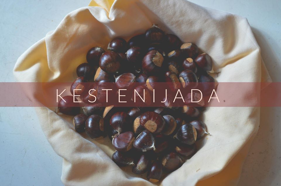 kestenijada , volonteri