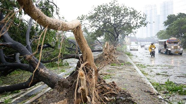 haiti, uragan Matthew, orkanski vjetar