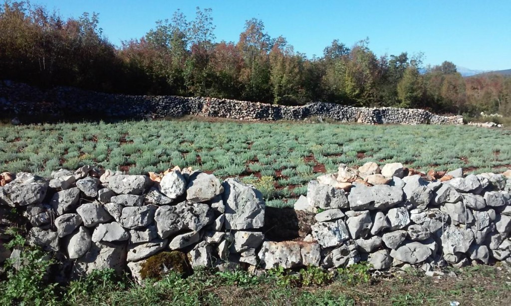 Dragan Marijanović, priče iz hercegovine, hodopisi