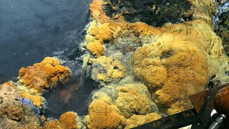 jezero, more, smrt, otkriće