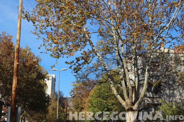 Sex u gradu sex u gradu