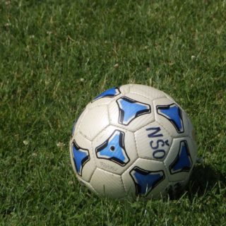 kvalitetna liga, LIMAČI